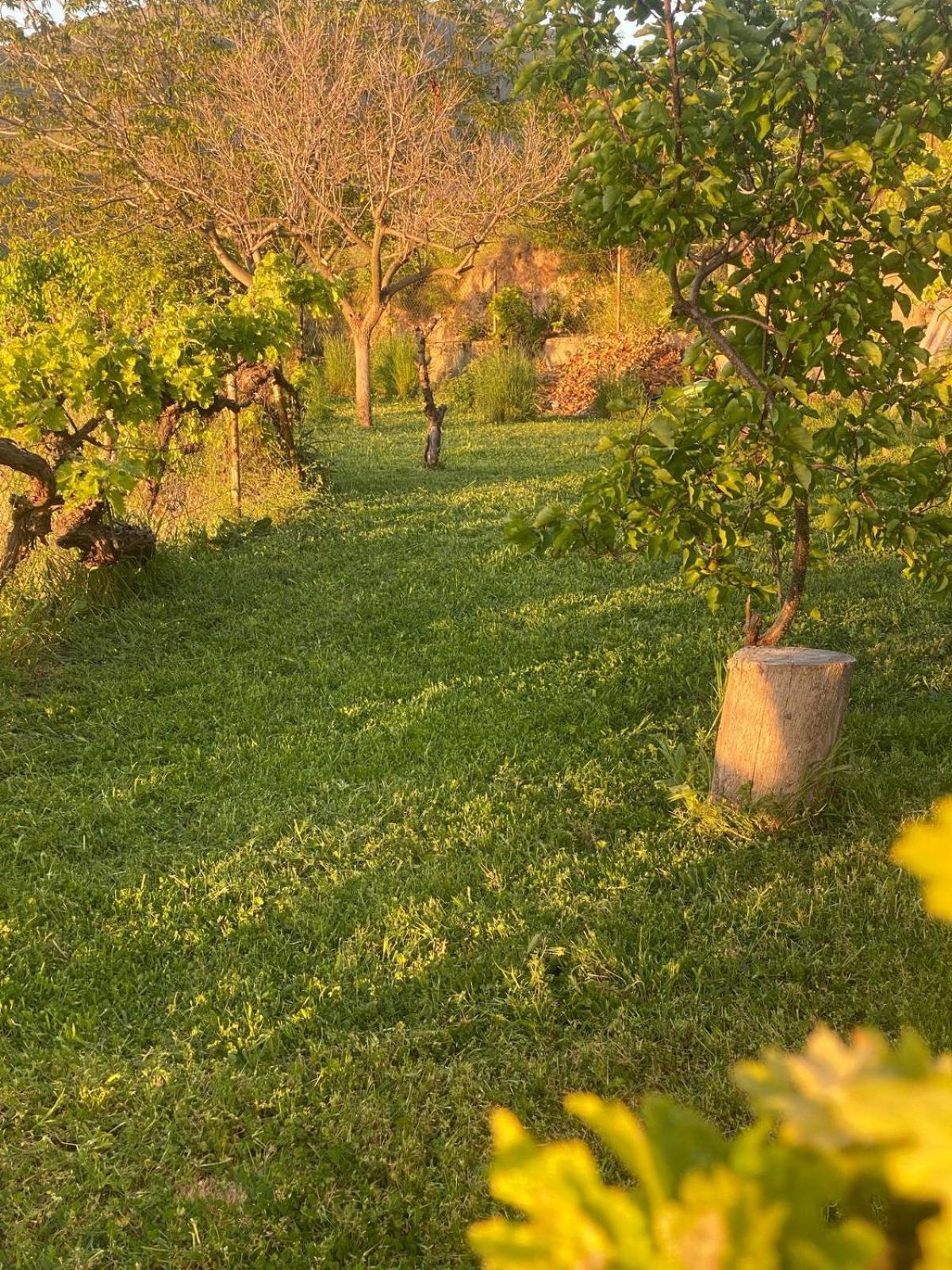 Casa Rural Balcon De موناتْشيل المظهر الخارجي الصورة